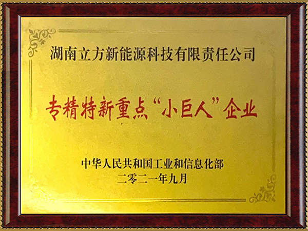 國家專精特新重點“小巨人”企業(yè)