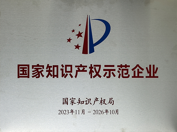 國家知識產(chǎn)權(quán)示范企業(yè)